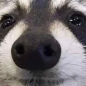 Meet your Posher, Kolby